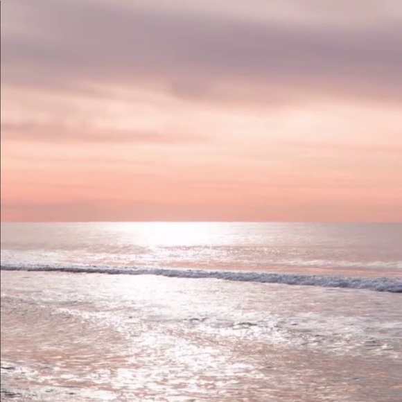 sandratomrose